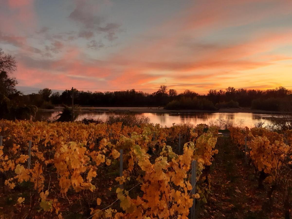 Aux Nids D'Hirondelles Apartamento Pouilly-sur-Loire Exterior foto